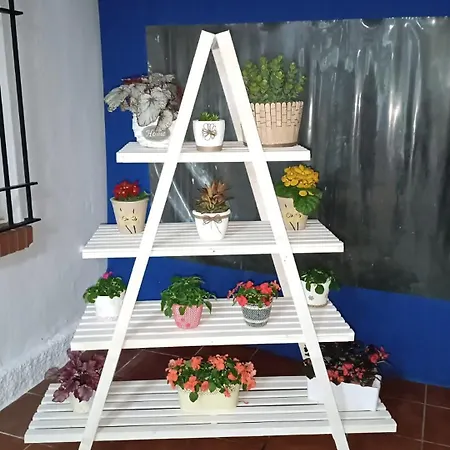 Кемпінг Camping Torremolinos Торремолінос