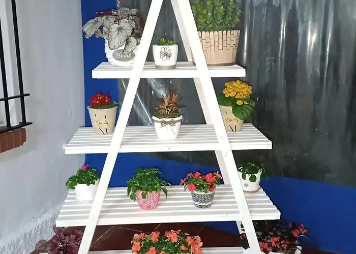 Campeggio Camping Torremolinos Torremolinos